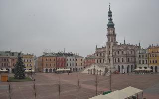 Zamość - 29-11-2025 08:53