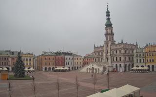 Zamość - 29-11-2025 09:00