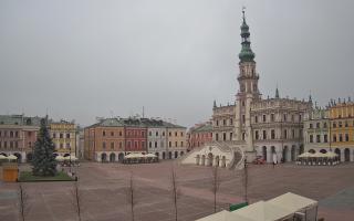 Zamość - 29-11-2025 09:14