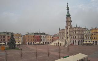 Zamość - 29-11-2025 09:21