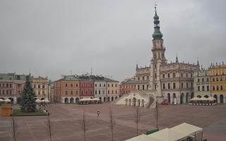 Zamość - 29-11-2025 09:28
