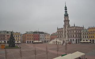 Zamość - 29-11-2025 09:42