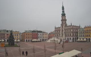 Zamość - 29-11-2025 09:50