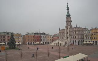 Zamość - 29-11-2025 10:04