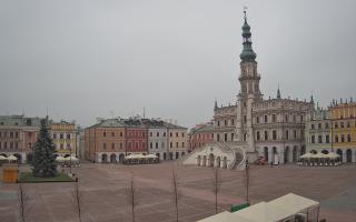 Zamość - 29-11-2025 10:18
