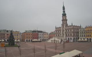Zamość - 29-11-2025 10:25