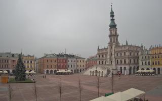 Zamość - 29-11-2025 10:32