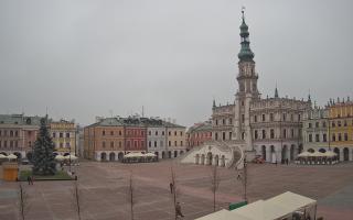 Zamość - 29-11-2025 10:39
