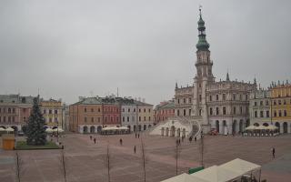 Zamość - 29-11-2025 10:46