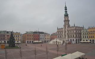 Zamość - 29-11-2025 11:00