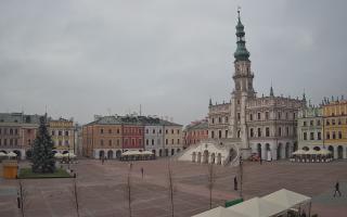Zamość - 29-11-2025 11:07