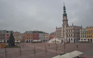 Zamość - 29-11-2025 11:14