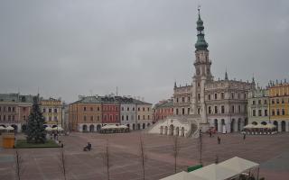 Zamość - 29-11-2025 11:21