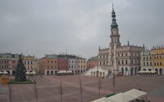 Zamość - 29-11-2025 11:28