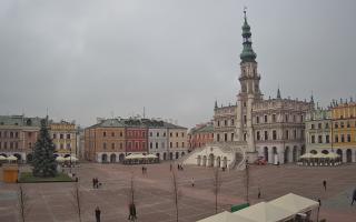 Zamość - 29-11-2025 11:35