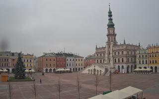 Zamość - 29-11-2025 11:42