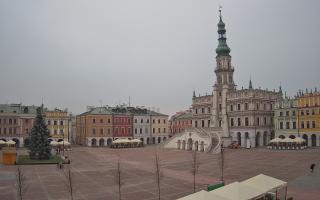 Zamość - 29-11-2025 12:17