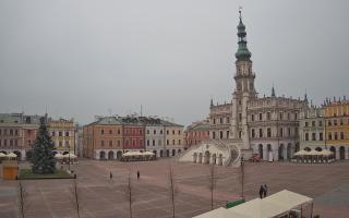 Zamość - 29-11-2025 12:24