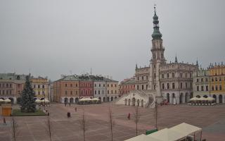 Zamość - 29-11-2025 12:31