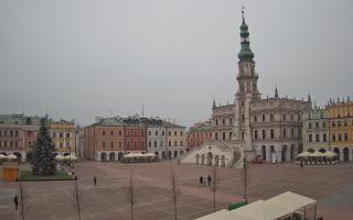 Zamość - 29-11-2025 12:38