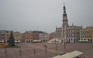 Zamość - 29-11-2025 12:45
