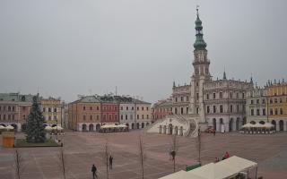 Zamość - 29-11-2025 12:52
