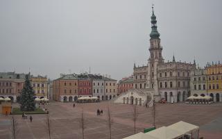 Zamość - 29-11-2025 12:59