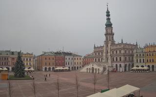 Zamość - 29-11-2025 13:14