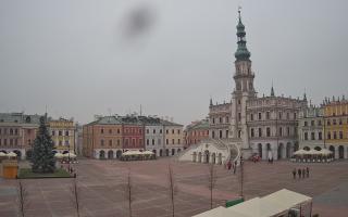 Zamość - 29-11-2025 13:21