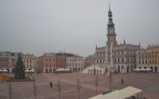 Zamość - 29-11-2025 13:35
