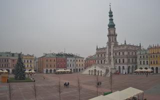 Zamość - 29-11-2025 13:49