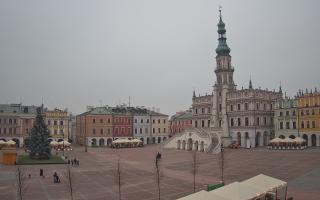 Zamość - 29-11-2025 13:56
