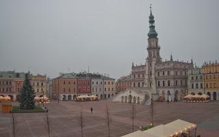 Zamość - 29-11-2025 14:17