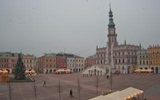 Zamość - 29-11-2025 14:24
