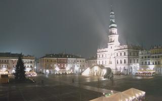 Zamość - 29-11-2025 15:13