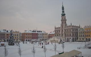 Zamość - 13-01-2026 14:16