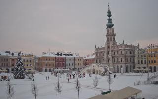 Zamość - 13-01-2026 14:30
