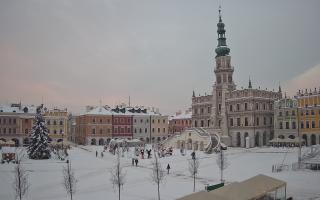 Zamość - 13-01-2026 14:38