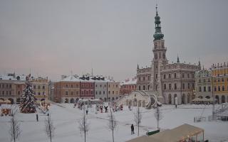Zamość - 13-01-2026 14:52