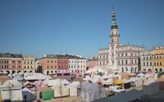 Zamość - 28-02-2026 08:43