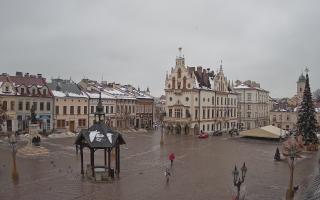Rzeszów - 30-01-2026 10:34