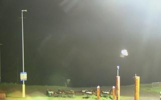 TMR - Hala Skrzyczeńska - 16-06-2025 22:47