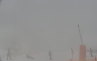 TMR - Hala Skrzyczeńska - 31-01-2026 07:53