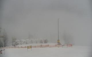 TMR Kamera pośrednia Hala Skrzyc - 31-01-2026 06:17