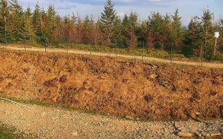 TMR - Zbójnicka Kopa #2 - 02-05-2025 16:11