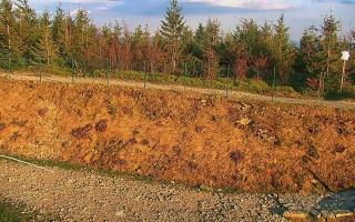 TMR - Zbójnicka Kopa #2 - 02-05-2025 16:56