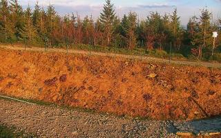 TMR - Zbójnicka Kopa #2 - 02-05-2025 17:18