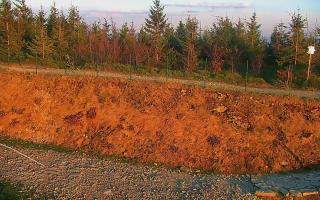 TMR - Zbójnicka Kopa #2 - 02-05-2025 17:29