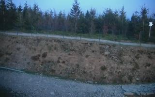 TMR - Zbójnicka Kopa #2 - 02-05-2025 18:36
