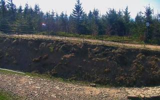 TMR - Zbójnicka Kopa #2 - 03-05-2025 07:12